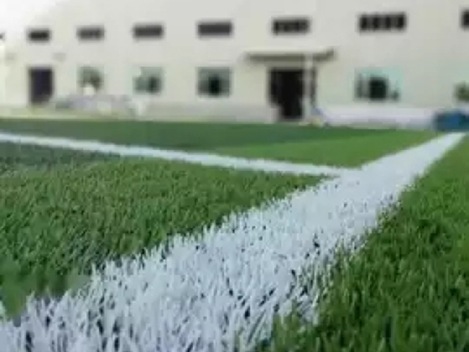  里昂主场草皮质量问题遭投诉  